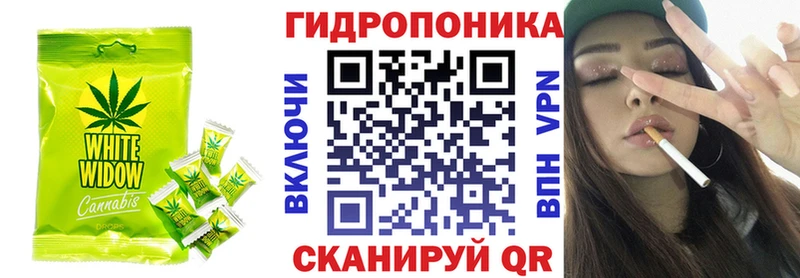 Cannafood конопля  Купить где  Пущино 