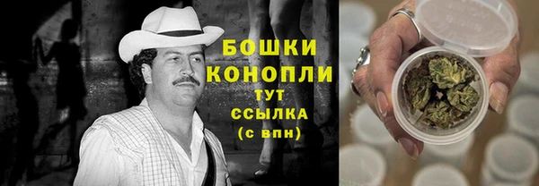 метадон Лагань
