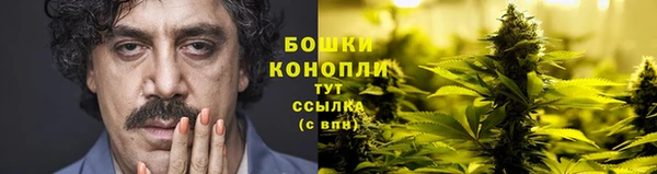 сатива Лихославль
