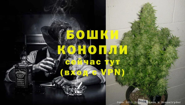 метадон Лагань