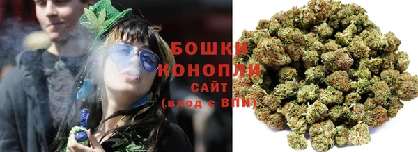 сатива Лихославль