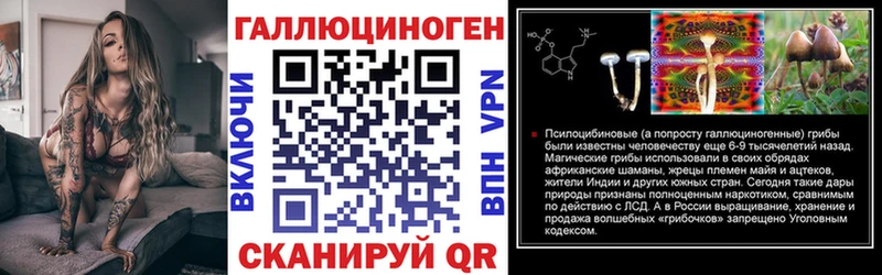Купить  Пущино  Галлюциногенные грибы Psilocybine cubensis 